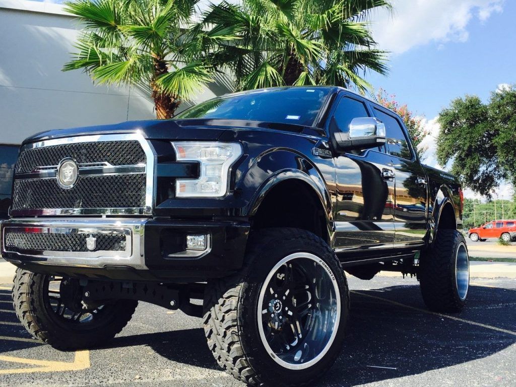 Customized 2015 Ford F 150 monster truck