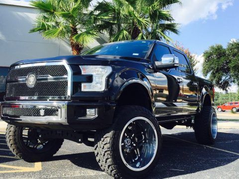 Customized 2015 Ford F 150 monster truck for sale