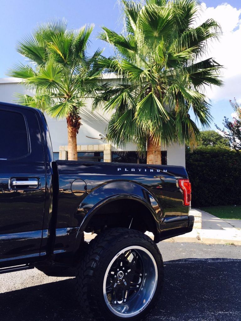 Customized 2015 Ford F 150 monster truck