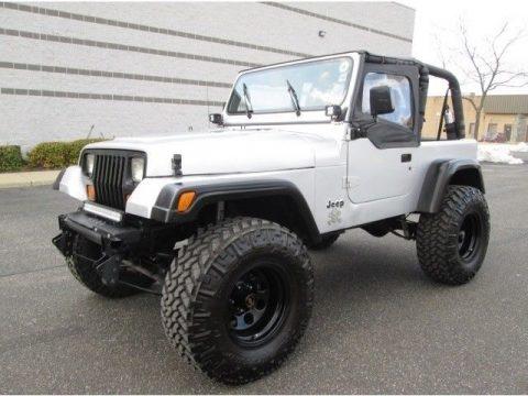one of a kind 1995 Jeep Wrangler monster for sale