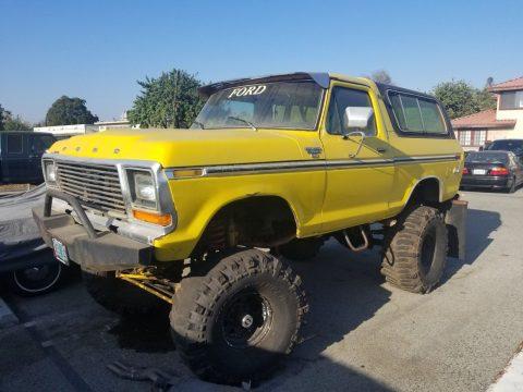 custom built 1979 Ford Bronco Ranger monster for sale