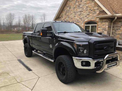 beautiful 2015 Ford F 250 Super Duty Super DUTY monster for sale